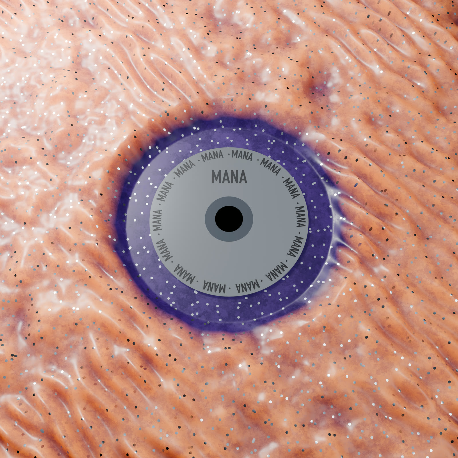 Albumcover – Variante